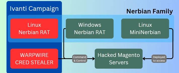 A successful exploitation is followed by the deployment of a cross-platform remote access trojan (RAT) dubbed Nerbian RAT, which was first disclosed by Proofpoint in May 2022, as well as its simplified variant called MiniNerbian.